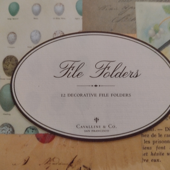 File Folders: bird print - Picture 4 of 11